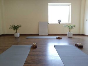 hatha yoga school yog shala