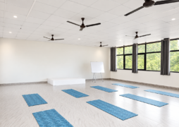 yoga-hall-hatha-yoga--world